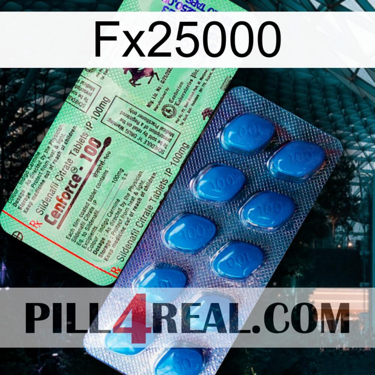 Fx25000 new02